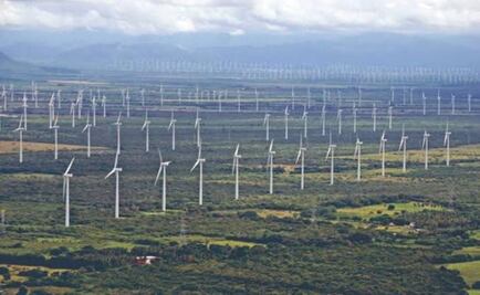 Desestima Tribunal de París suspender parque eólico en Unión Hidalgo, Oaxaca