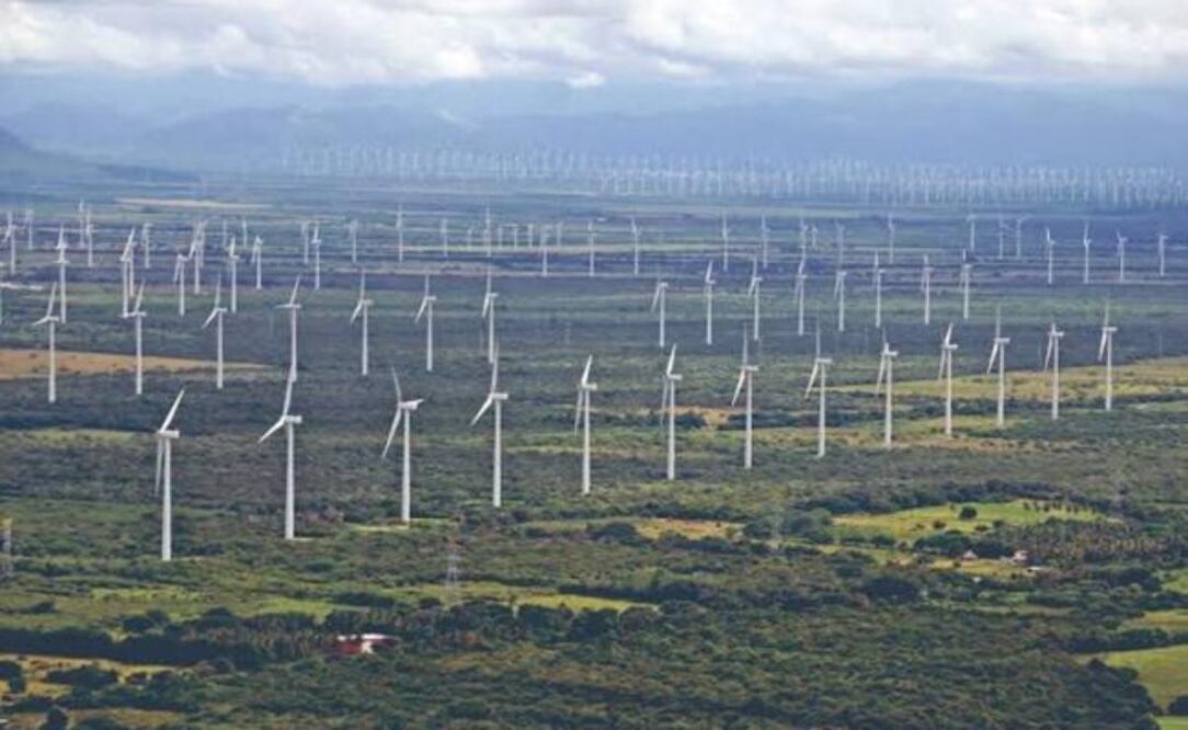 Foto: Archivo El Universal