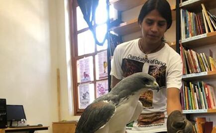 ONU condena asesinato de biólogo en Oaxaca; suman 6 crímenes contra defensores de DH