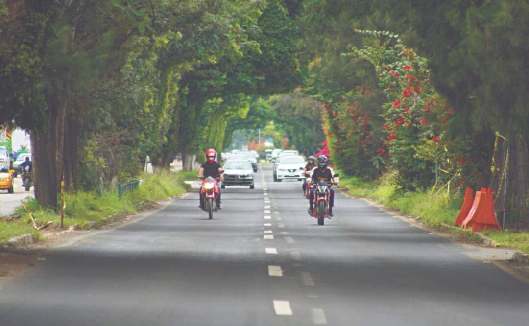 Foto: Mario Arturo Martínez