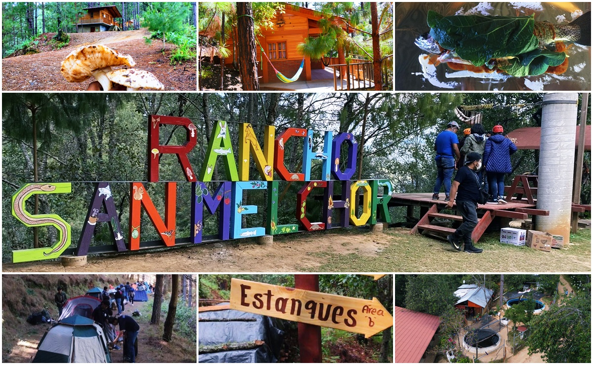 Foto: Facebook Rancho San Melchor.