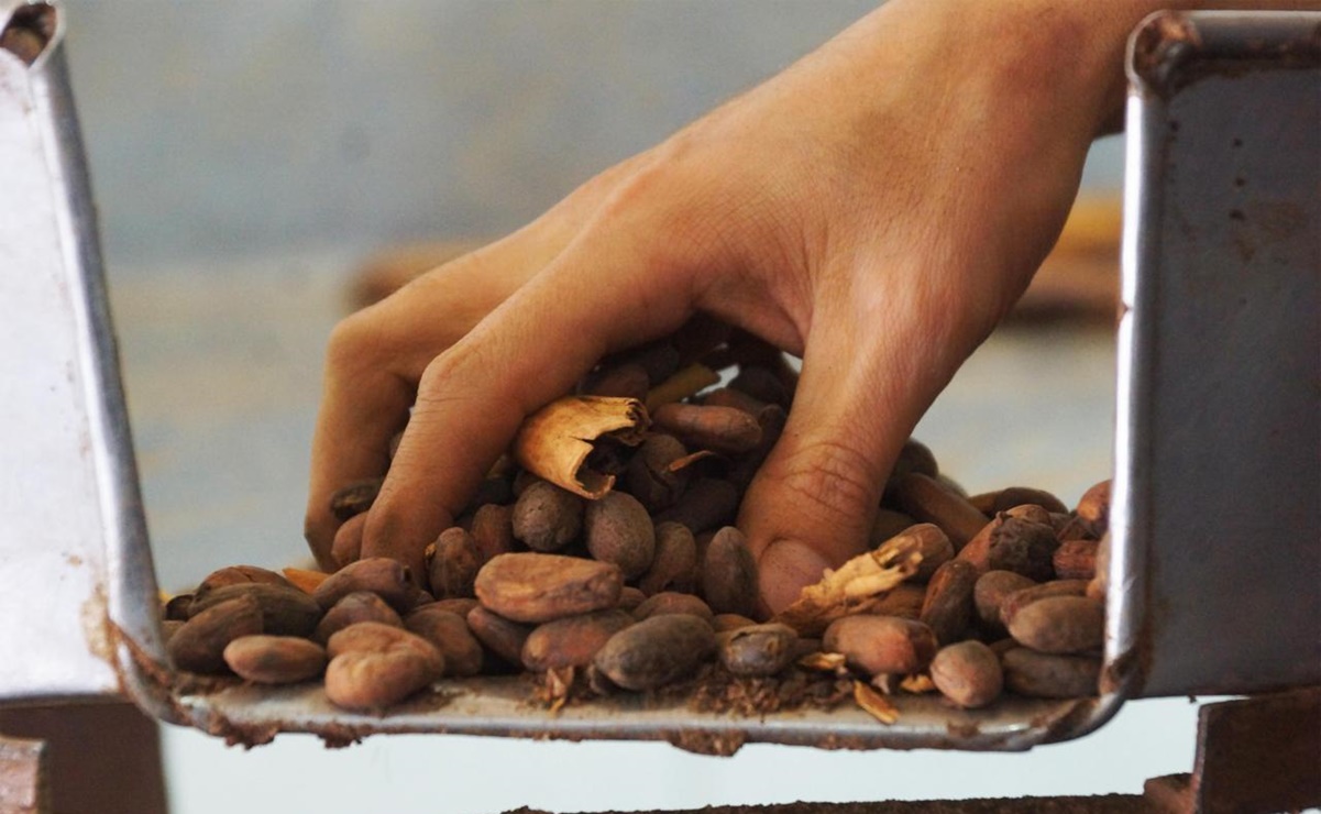 Por disparo de precios de 300%, el chocolate podría no llegar a los altares de Día de Muertos en Oaxaca. Fotos: Edwin Hernández