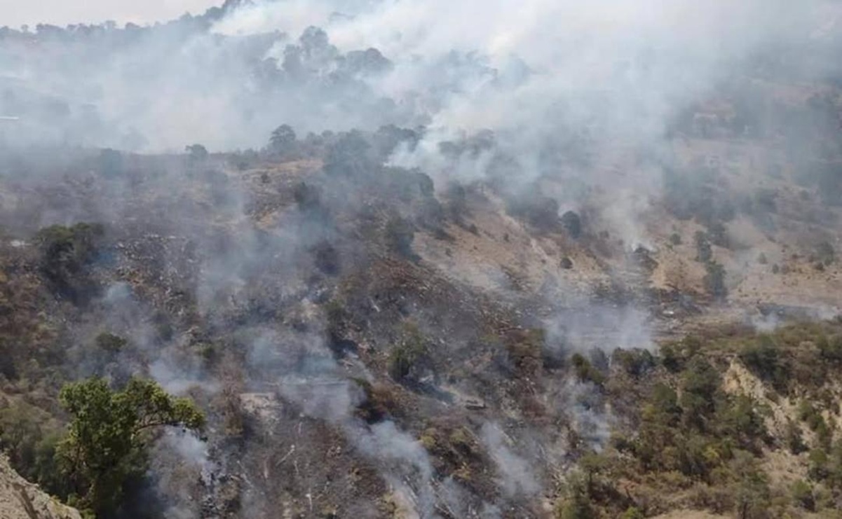 Incendio forestal azota a la comunidad Primavera en Santiago Yosondúa, Oaxaca