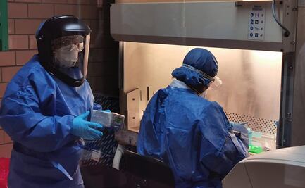 Piden diputados crear comités y dos laboratorios más para detectar casos de Covid-19