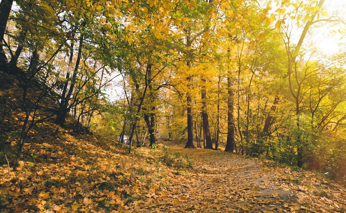 Pueblitos de Oaxaca con encanto otoñal para visitar en noviembre