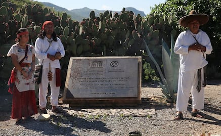 Comunidades del Valle de Tlacolula, Oaxaca, honran a sus ancestros en el Festival Laniro