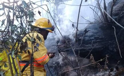 Tras 31 horas, brigadistas de Oaxaca logran sofocar incendio forestal en Yanhutlán