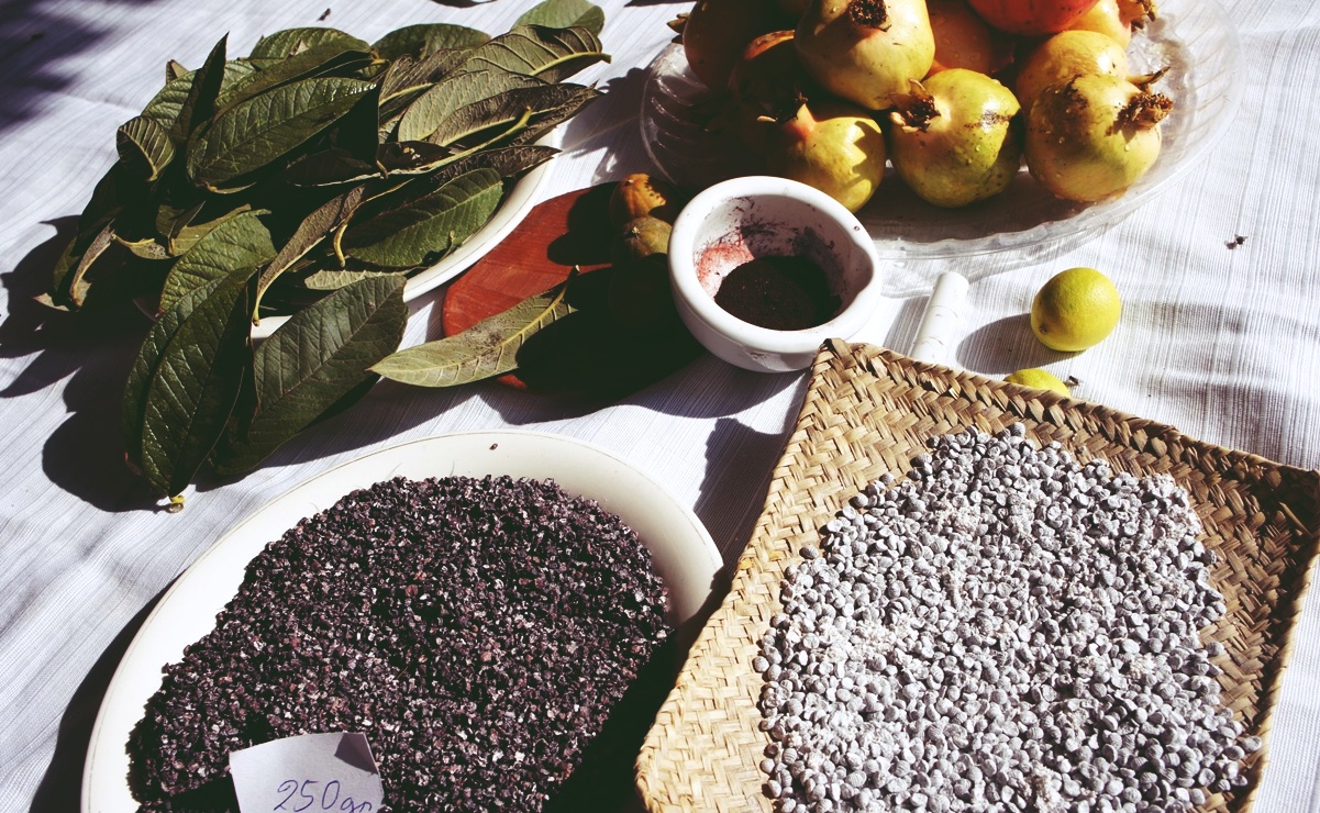 Historia y cultivo de la grana cochinilla en Oaxaca: colorante natural, símbolo de identidad indígena y producto con gran valor en comercio colonial y moderno. Foto: Nocheztlicalli-Museo Ecológico de Grana Cochinilla y Nopal.
