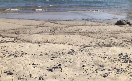 Congreso de Oaxaca demanda a la Profepa investigar derrame de Pemex en el Istmo