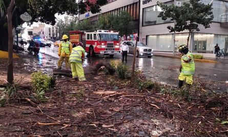 Fuertes lluvias dejan árboles caídos, vialidades obstruidas y daños a viviendas este viernes en capital de Oaxaca
