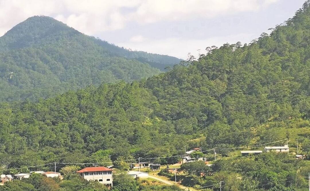 Ignoran en Los Chimalapas reunión logística sobre mesas para ejecutar sentencia a favor de Oaxaca. Foto: Especial