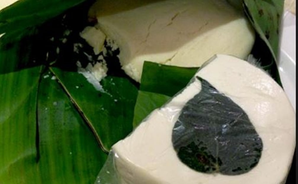 El queso de hoja es otro de los quesos más comunes de Oaxaca elaborado de forma artesanal. Foto: gourmetdemexico.com