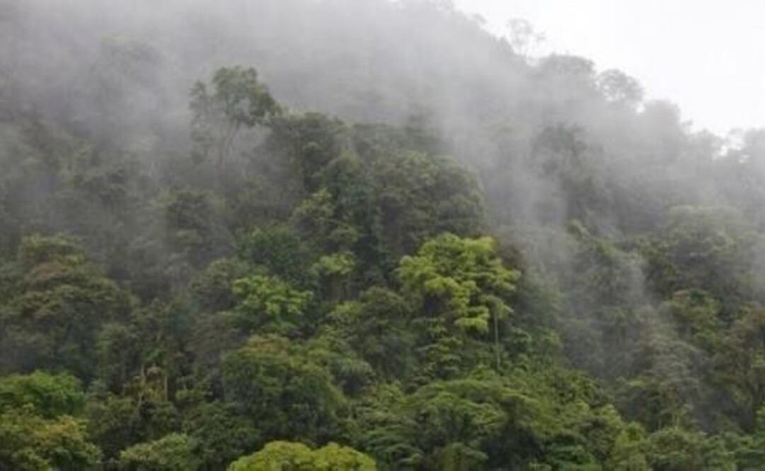 Despliegan a la GN en la Mixteca de Oaxaca tras disputa por bosque entre Tlaxiaco y San Miguel El Grande. Foto: Especial