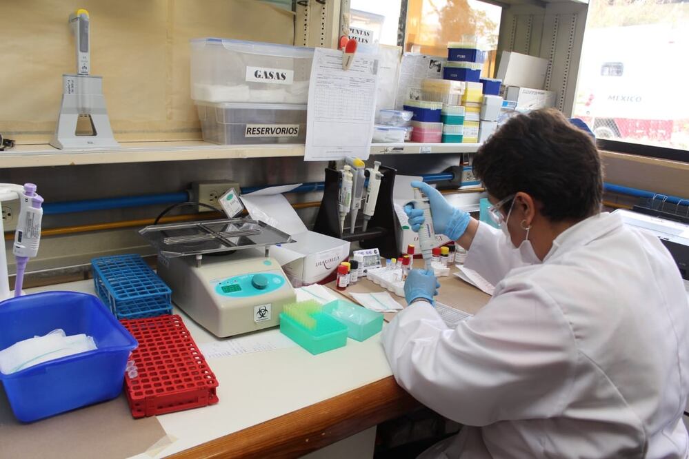 Menos de 10% de pruebas diarias por Covid-19 resultan positivas en Oaxaca; circulan 16 variantes. Foto: SSO