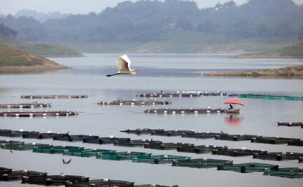 Mil islas, el paraíso de Oaxaca donde sobreviven en pobreza desplazados del pueblo mazateco