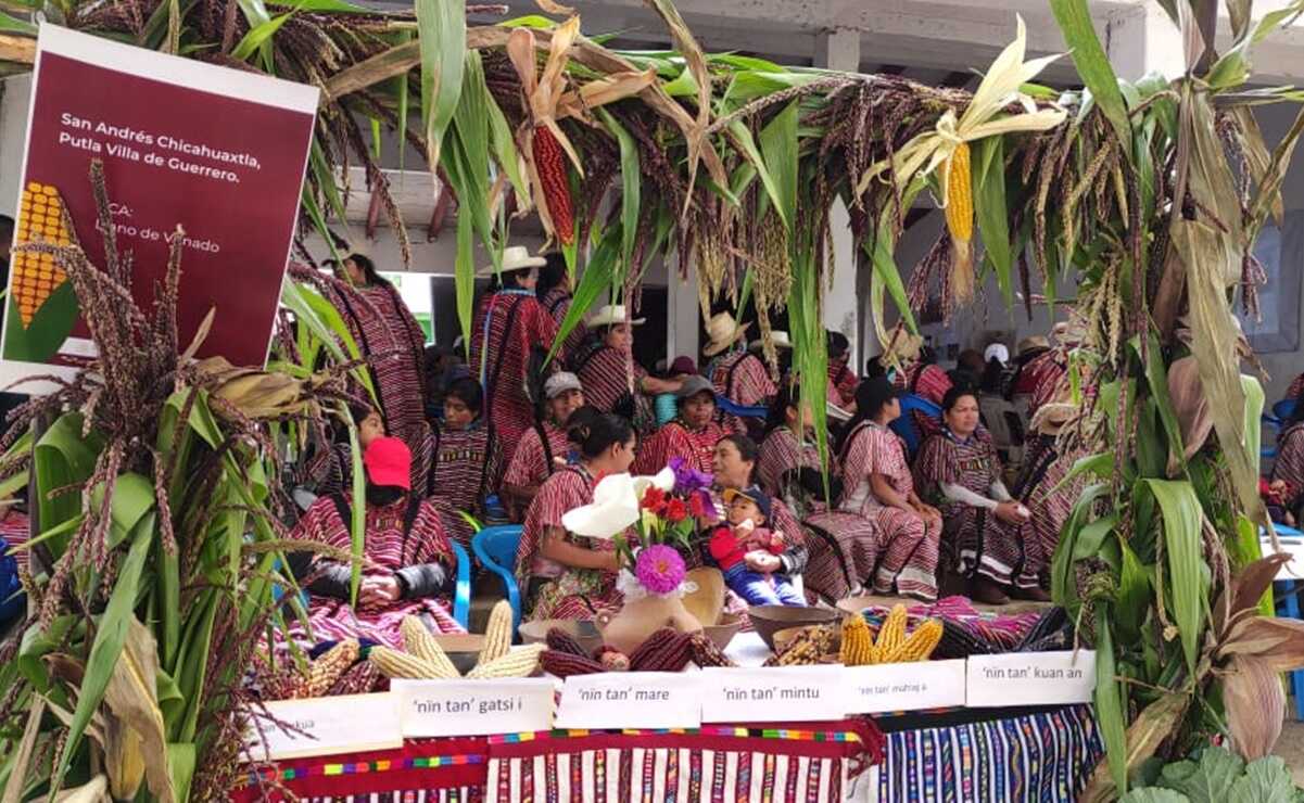 Se unen a celebración de maíz nativo desde Chicahuaxtla, en la Mixteca de Oaxaca
