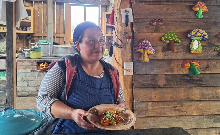 Barbacoa de hongos, el excéntrico platillo que conquista paladares en los bosques de Cuajimoloyas