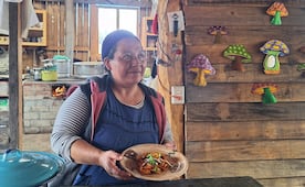 Barbacoa de hongos, el excéntrico platillo que conquista paladares en los bosques de Cuajimoloyas, Oaxaca