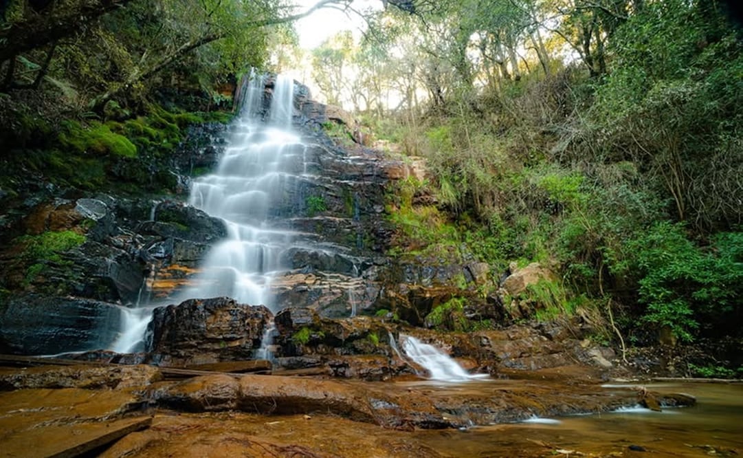 Cascada La Reina, San Pablo Cuatro Venados, Oaxaca. Foto: Facebook@HallaDracoSebastian