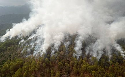 Emergencia en pueblos chontales de Oaxaca por incendios forestales; ayuda del gobierno es insuficiente