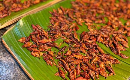 Mezcal, tlayudas y chapulines: Gastronomía de Oaxaca, protagonista en Feria Internacional de Turismo en Madrid