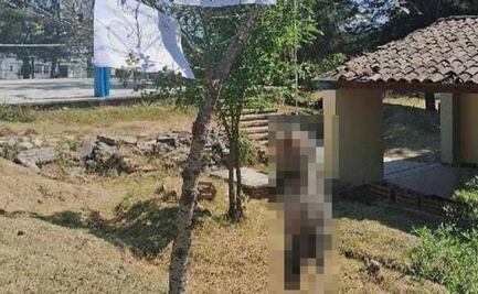 Alumnos del CBTis de Tlaxiaco torturan y matan a tlacuache y lo cuelgan con mensajes