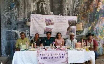 Llega el Gran Festival de la Floración del Maguey el 8 y 9 de abril a San Luis Amatlán, Oaxaca