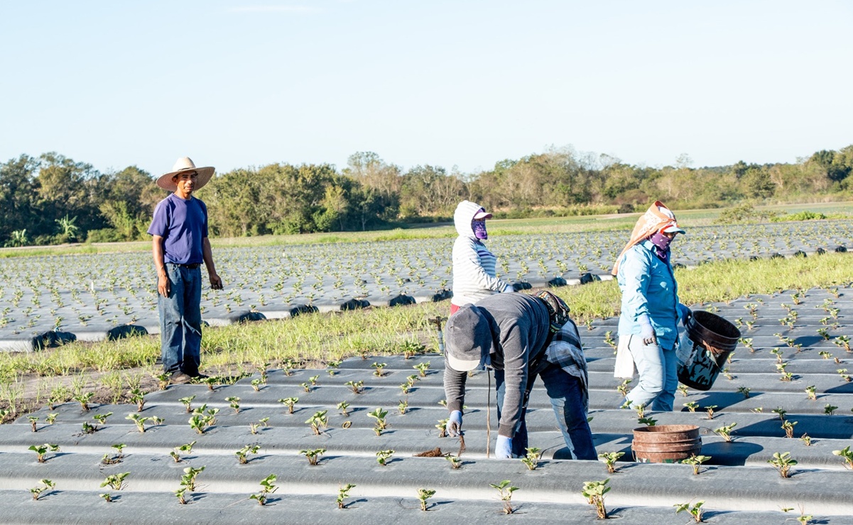 “Advertimos el riesgo que representa imponer impuestos a las remesas”: Salomón Jara