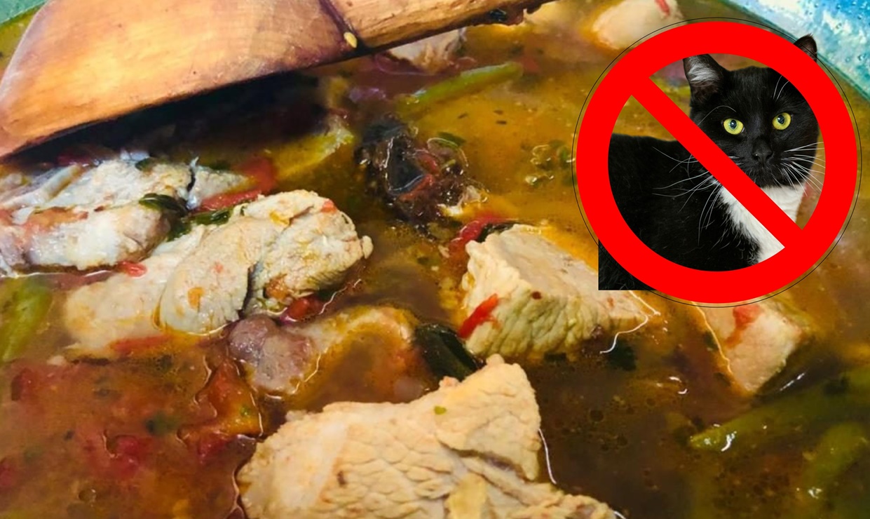 Un sabor de Oaxaca en tu paladar: El caldo de gato, tradición y confort en un solo plato. Foto: Especial.