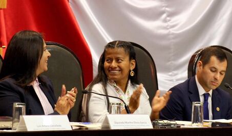 Llama Morena a revisar alianza con el PVEM en Oaxaca; pide a ediles y diputados no generar división