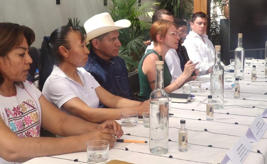 Nace en Oaxaca Fondo Agavero, iniciativa para combatir daño ambiental del mezcal. Foto: Mario Arturo Martínez