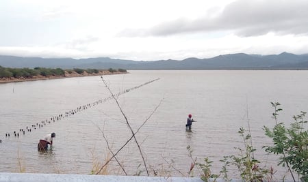 Por contaminar campos de sal, productores de Oaxaca demandan por 22 mdp a Pemex
