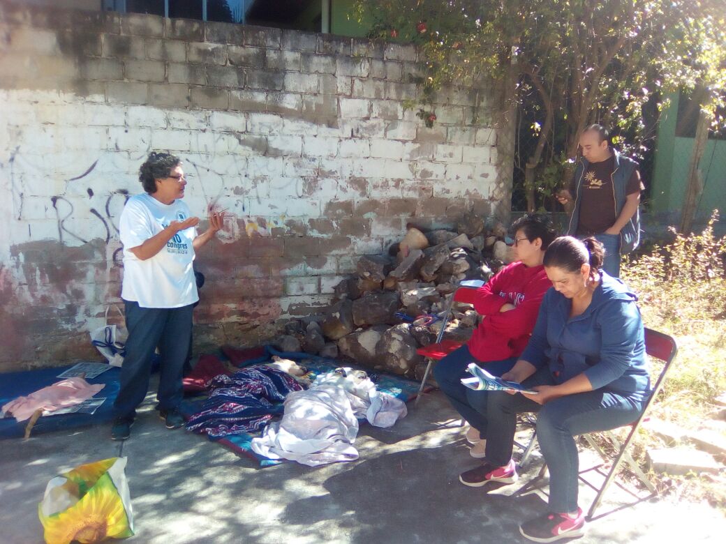 Exigen animalistas 800 mil pesos para esterilizaciones