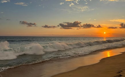 Bacocho, por qué se llama así la famosa playa de liberación de tortugas en Oaxaca