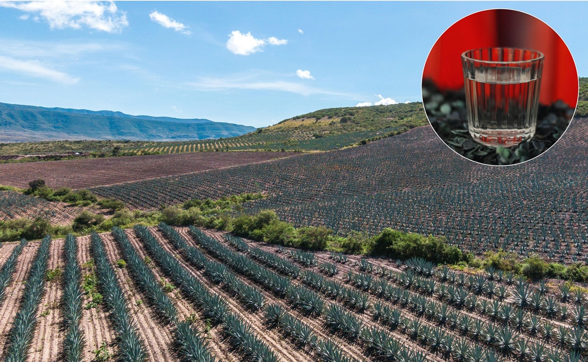 ¿Cuál es el pueblo oaxaqueño considerado la Capital Mundial del Mezcal? 