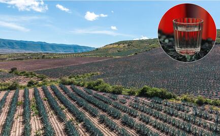 ¿Cuál es el pueblo oaxaqueño considerado la Capital Mundial del Mezcal?