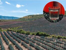 ¿Cuál es el pueblo oaxaqueño considerado la Capital Mundial del Mezcal?