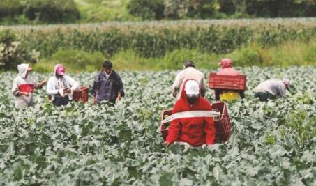 Alertan a oaxaqueños sobre fraudes para visas de trabajo en EU