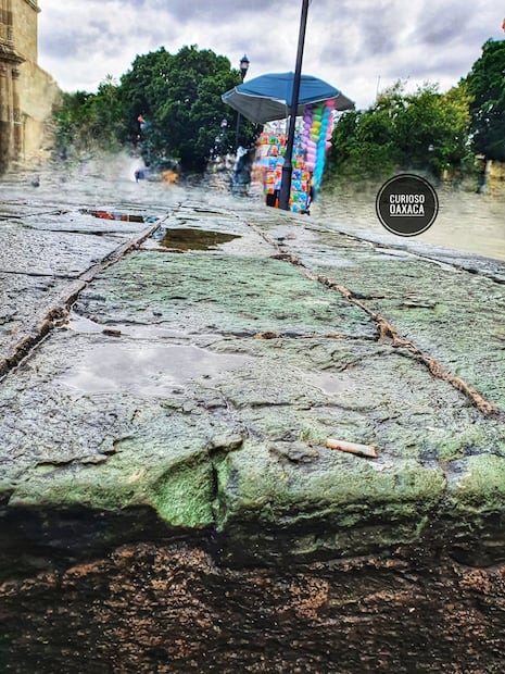 Cuando llueve, las construcciones de cantera verde de la ciudad de Oaxaca reverdecen creando una vista impresionante. Foto: FB@ Curioso Mexico
