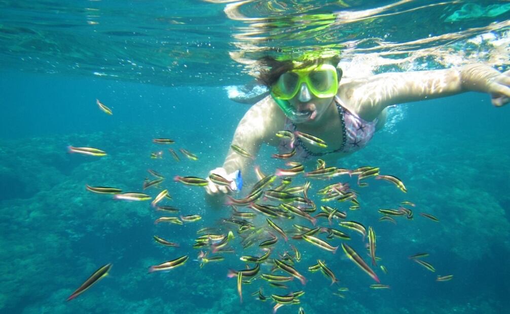 Mejores playas de Oaxaca para practicar Snorkel. Foto: yumping.com
