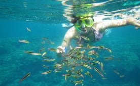 ¿Cuáles son las mejores playas de Oaxaca para practicar snorkel?