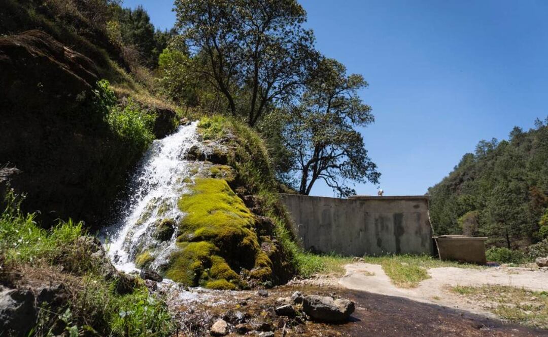 Foto: Mario Arturo Martínez