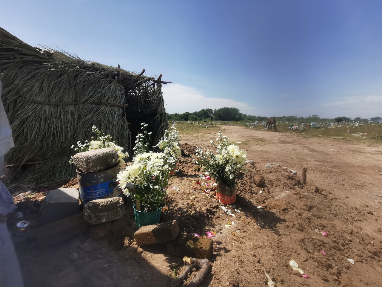 Registra Juchitán 290 fallecimientos relacionados a Covid-19 en los últimos 209 días del año