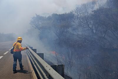 Casi 30 mil hectáreas dañadas y dos  muertos, saldo de incendios