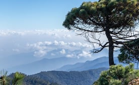 ¿Por qué Santiago Comaltepec es considerado un destino mágico de la Sierra Norte de Oaxaca?