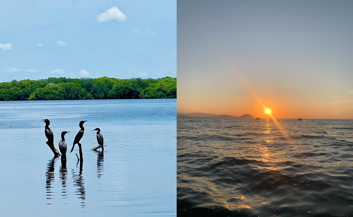 Lagunas de Chacahua, un sitio con manglares, lagunas costeras y playas vírgenes hermosas. Fotos: Ricardo Alvarado y Avizael Leyva Goz
