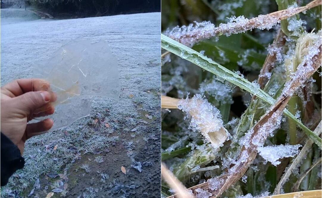 Activan monitoreo ante registro de temperaturas bajo cero en 4 regiones de Oaxaca. Foto: Especial