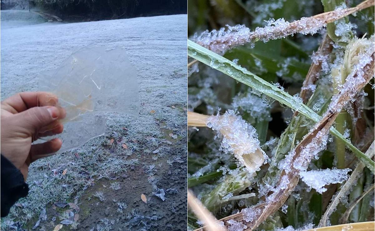 Activan monitoreo ante registro de temperaturas bajo cero en 4 regiones de Oaxaca. Foto: Especial