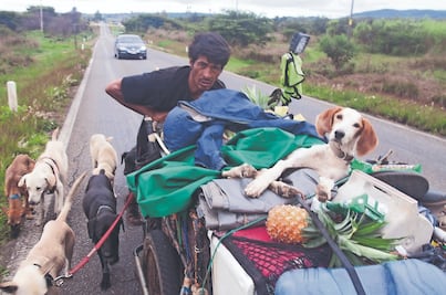 Recorre el país buscando “ángeles” abandonados