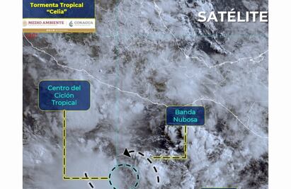 Celia se intensificó a tormenta tropical; provocará lluvias torrenciales en Oaxaca, Guerrero, Puebla y Veracruz